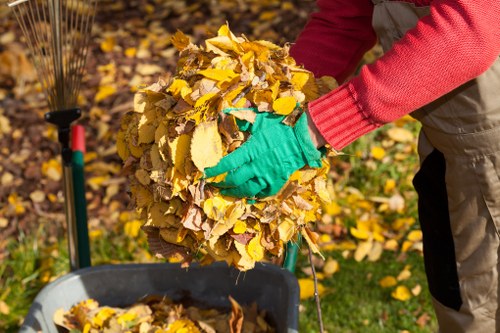 Professional garden clearance team at work in Barnet