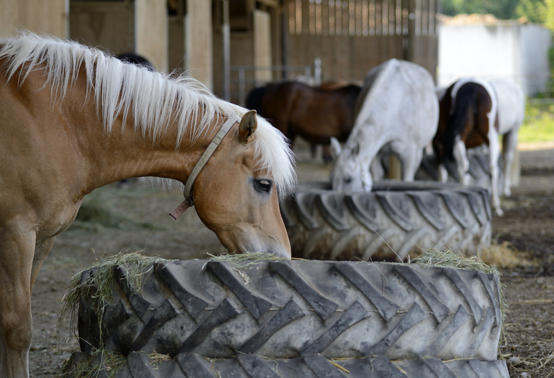 rubbish removal waste disposal